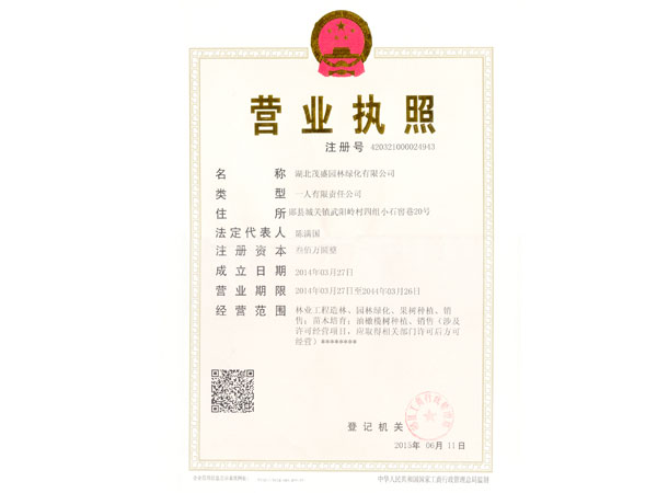 營(yíng)業(yè)執(zhí)照